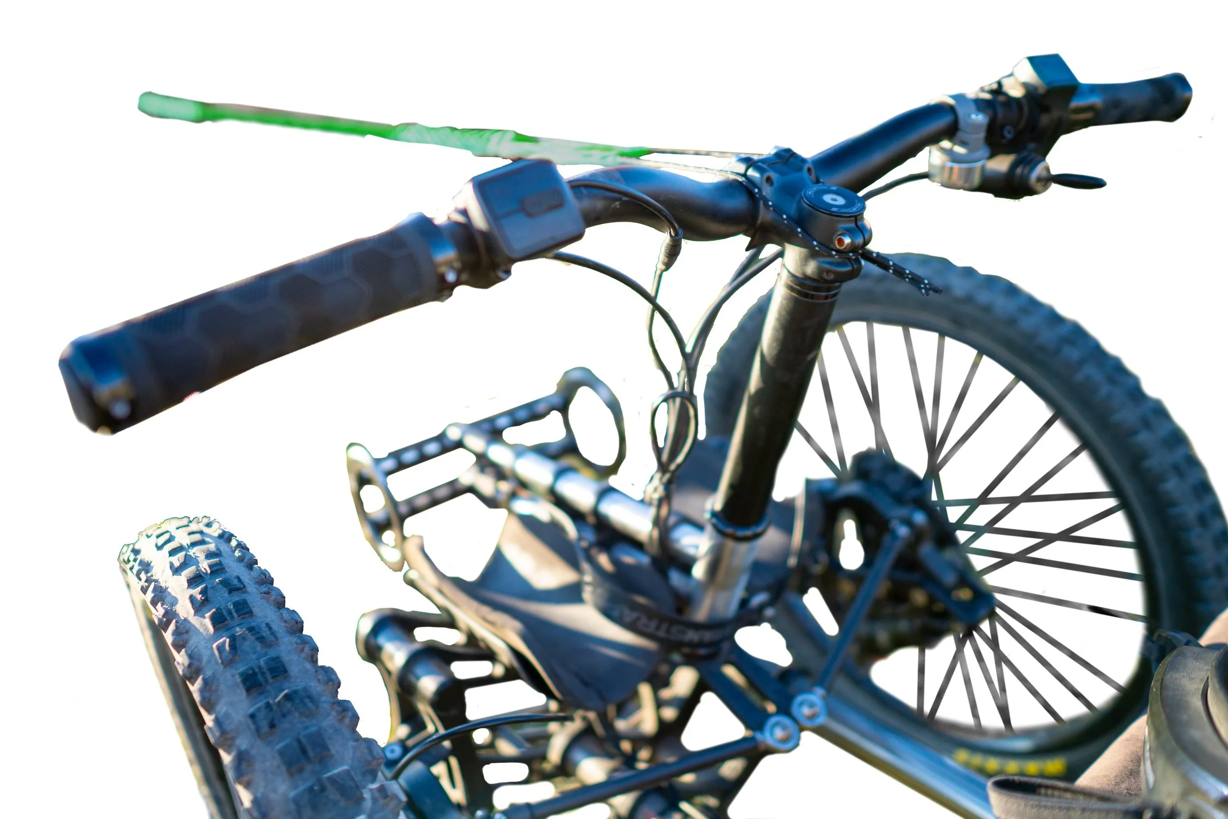 65003543 Green Small.jpg