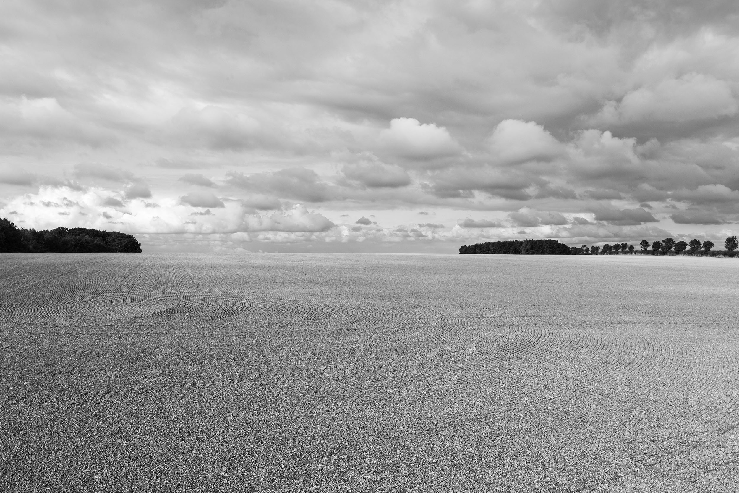 Farmland, Wiltshire.