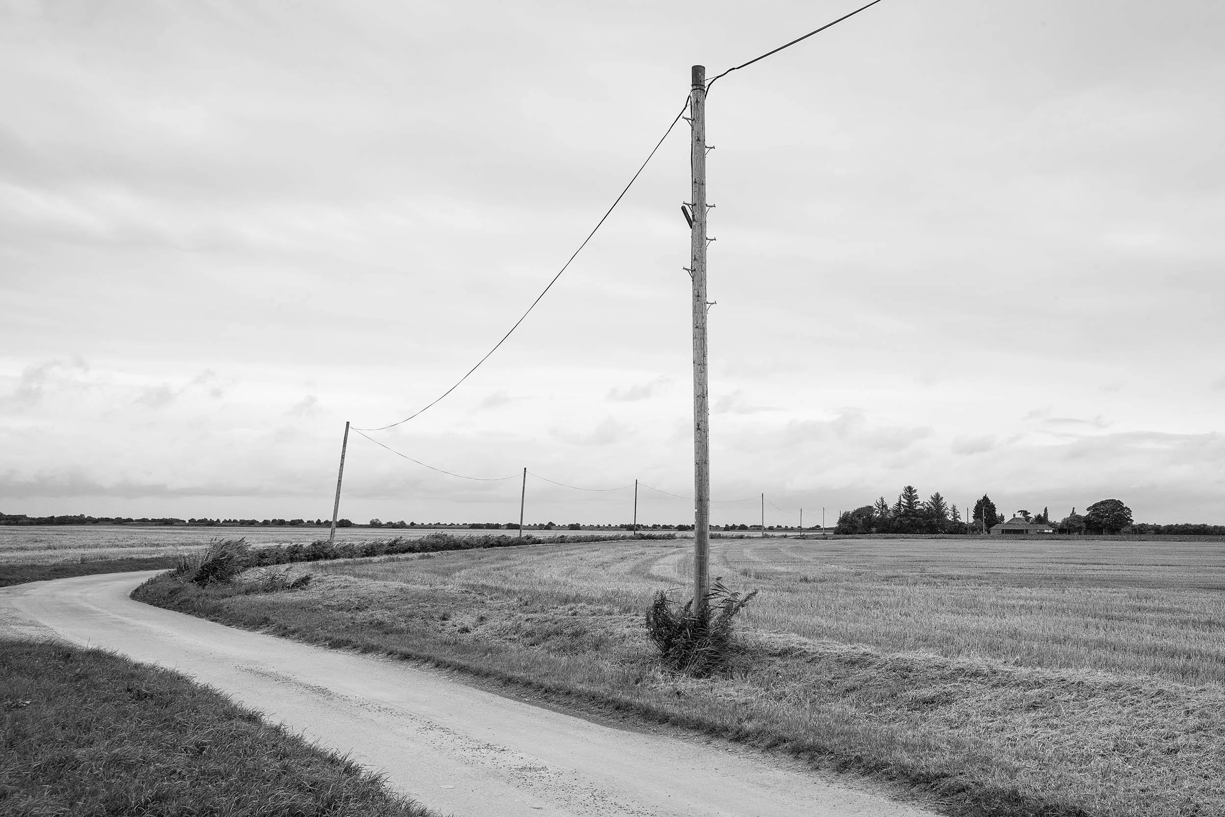 Telegraph_Poles_East_Coast_L1002776.jpg