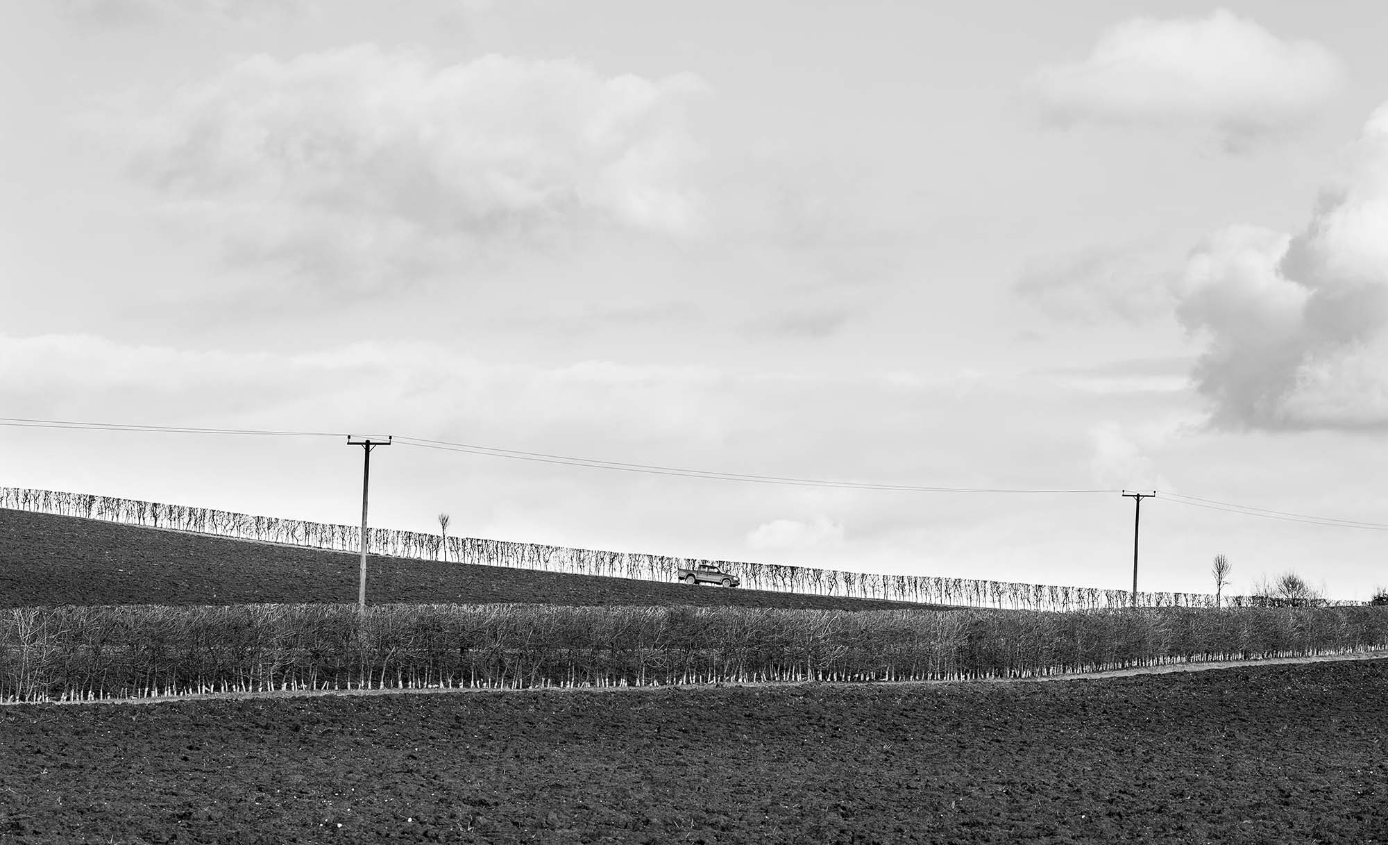 Farmland, Lincolnshire