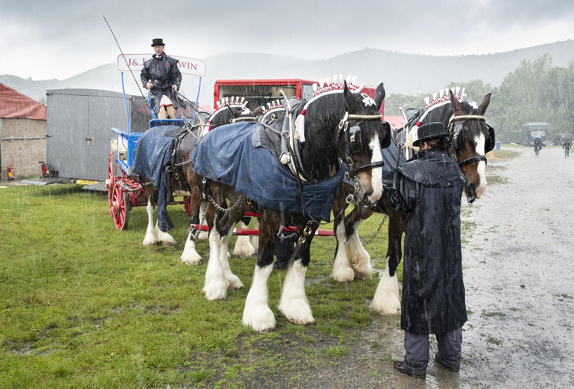 Three Counties Show