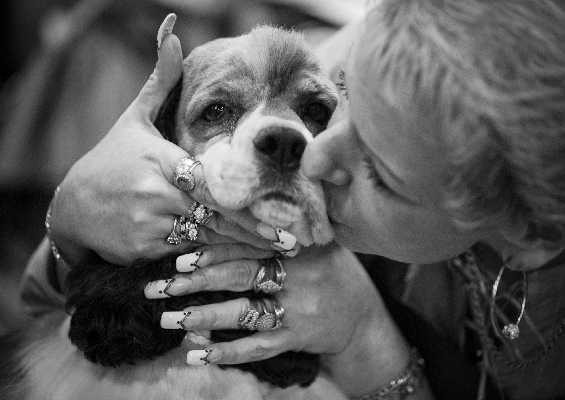  Crufts, the largest dog show in the world, takes place every March in Birmingham, UK. 