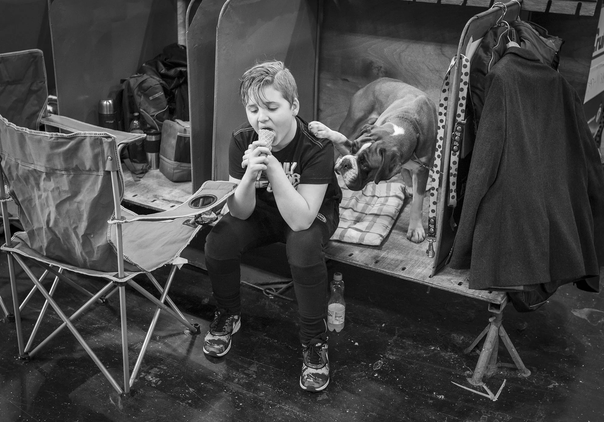  Crufts, the largest dog show in the world, takes place every March in Birmingham, UK. 