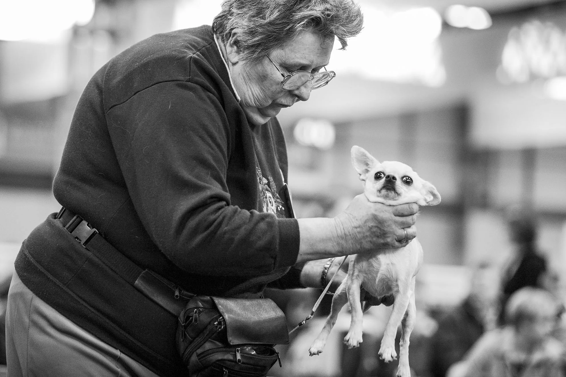  Crufts, the largest dog show in the world, takes place every March in Birmingham, UK. 