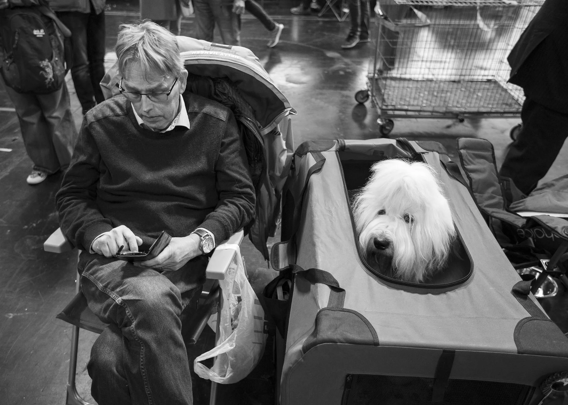 Crufts, the largest dog show in the world, takes place every March in Birmingham, UK.