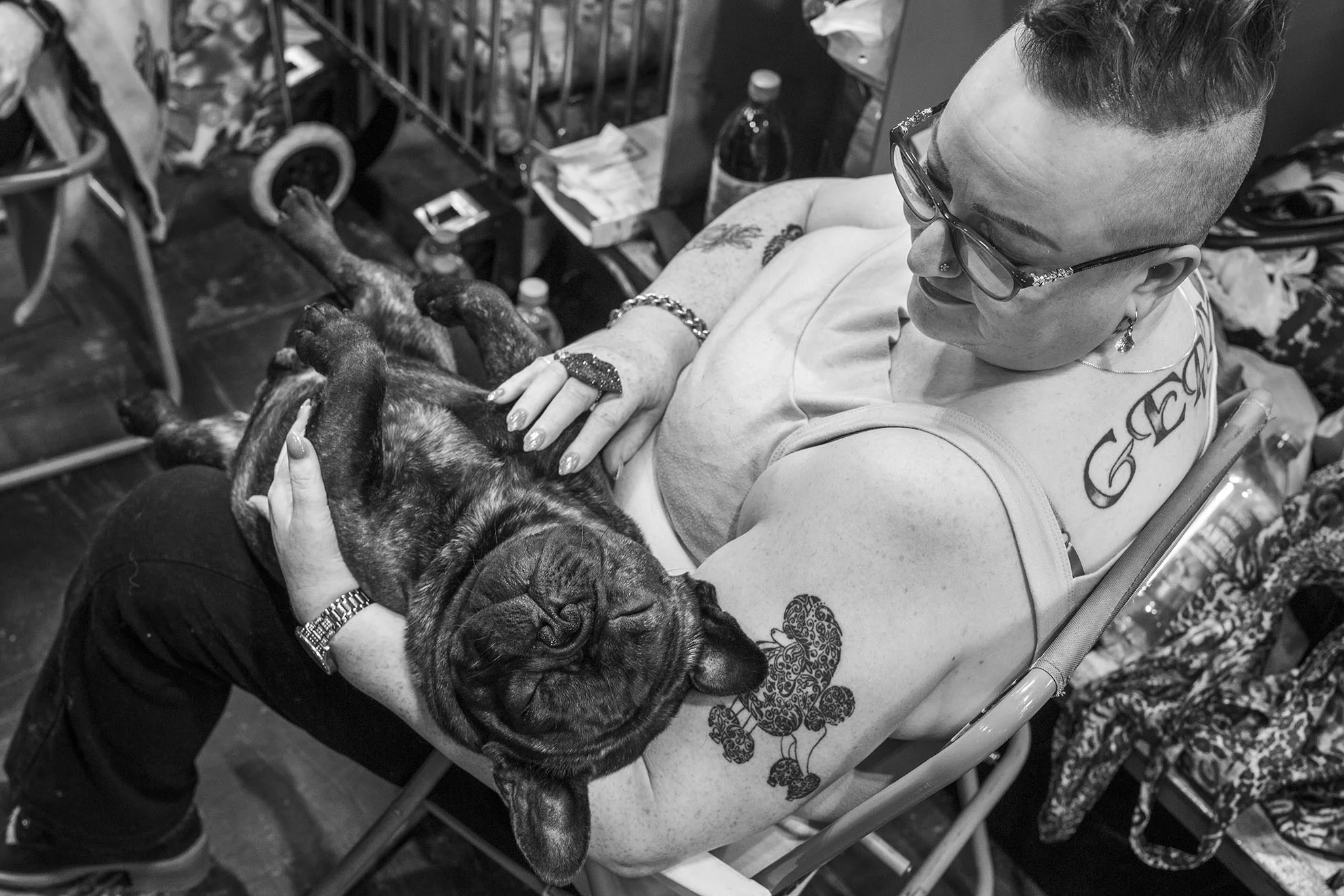Crufts, the largest dog show in the world, takes place every March in Birmingham, UK.