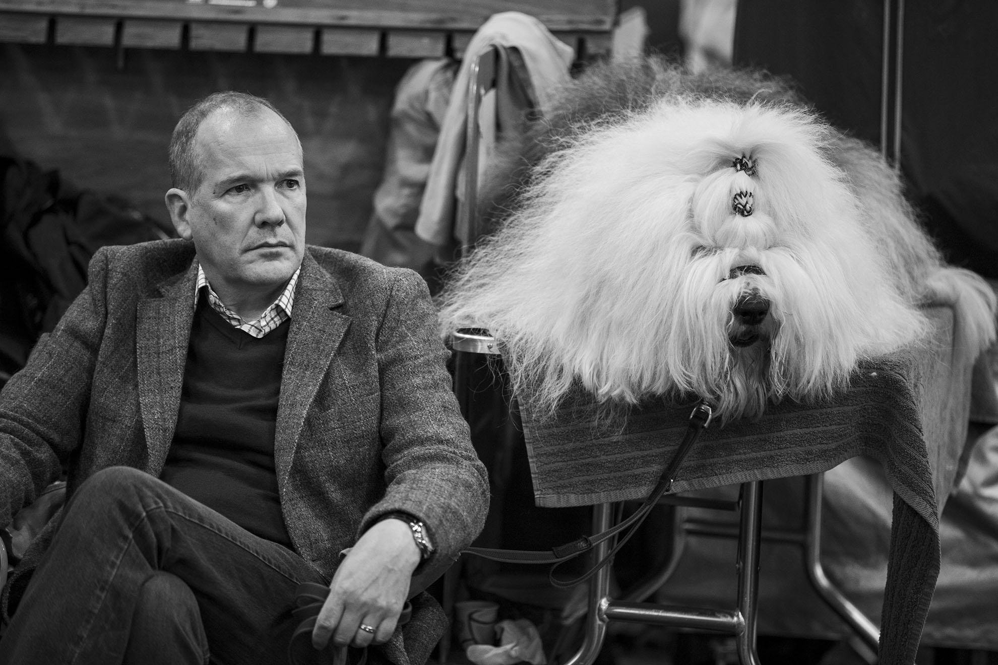  Crufts, the largest dog show in the world, takes place every March in Birmingham, UK. 