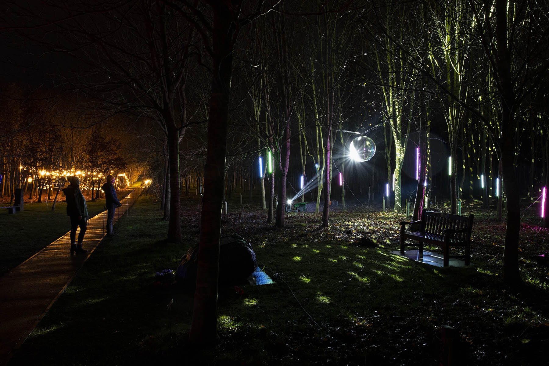 An illuminated route through the National Memorial Arboretum, Staffordshire.