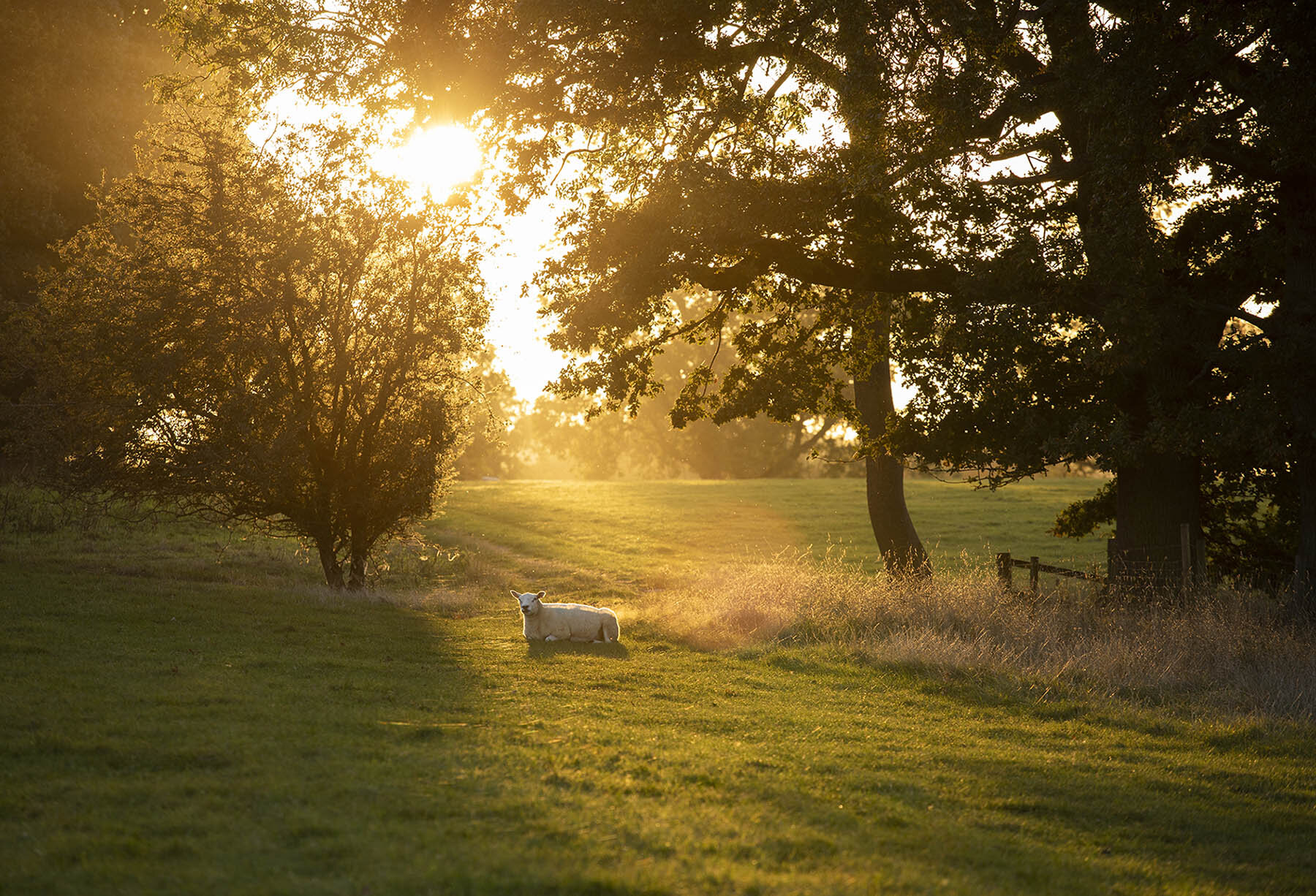 Autumn, Worcestershire