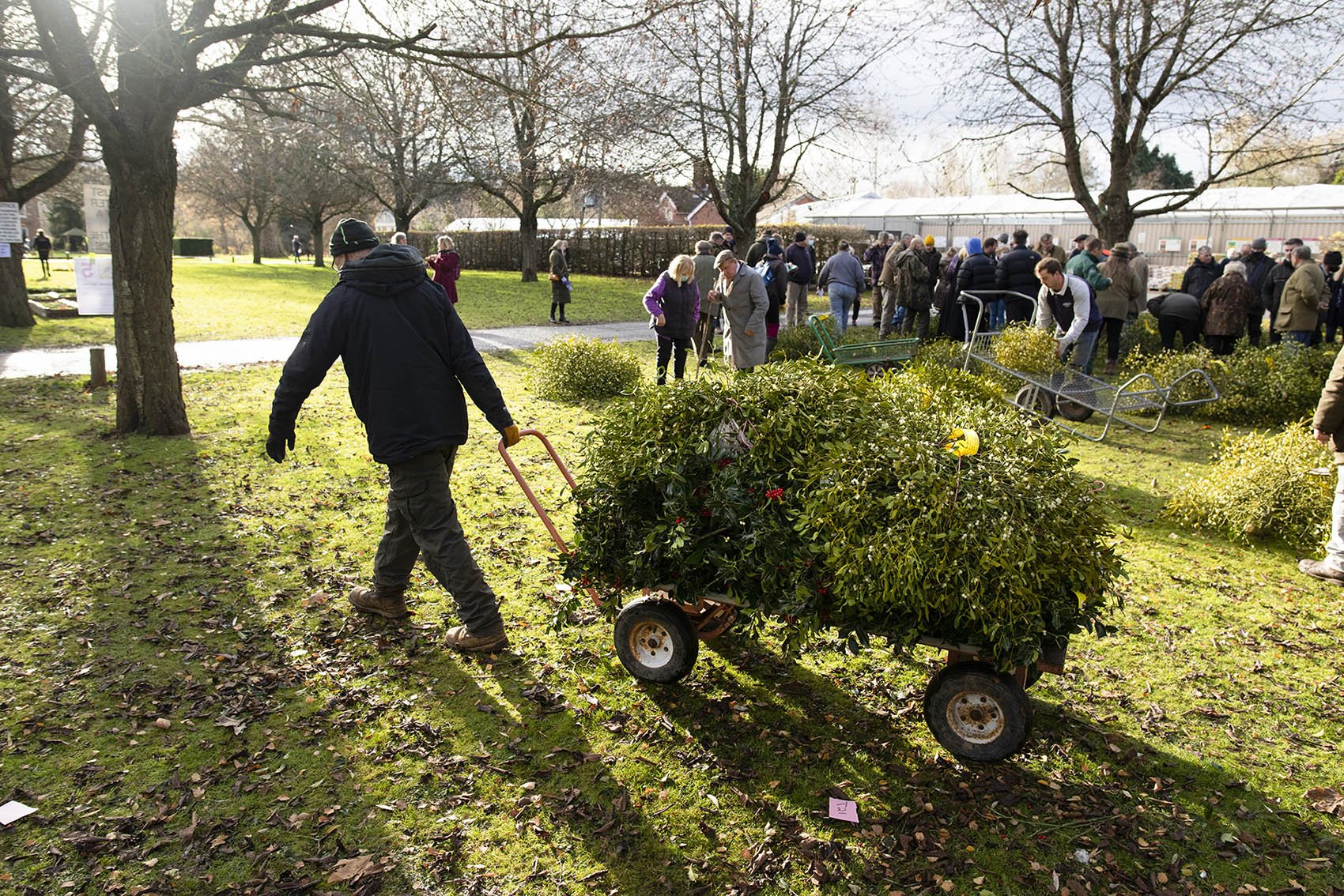 The annual mistletoe auction at Tenbury Wells, Worcestershire