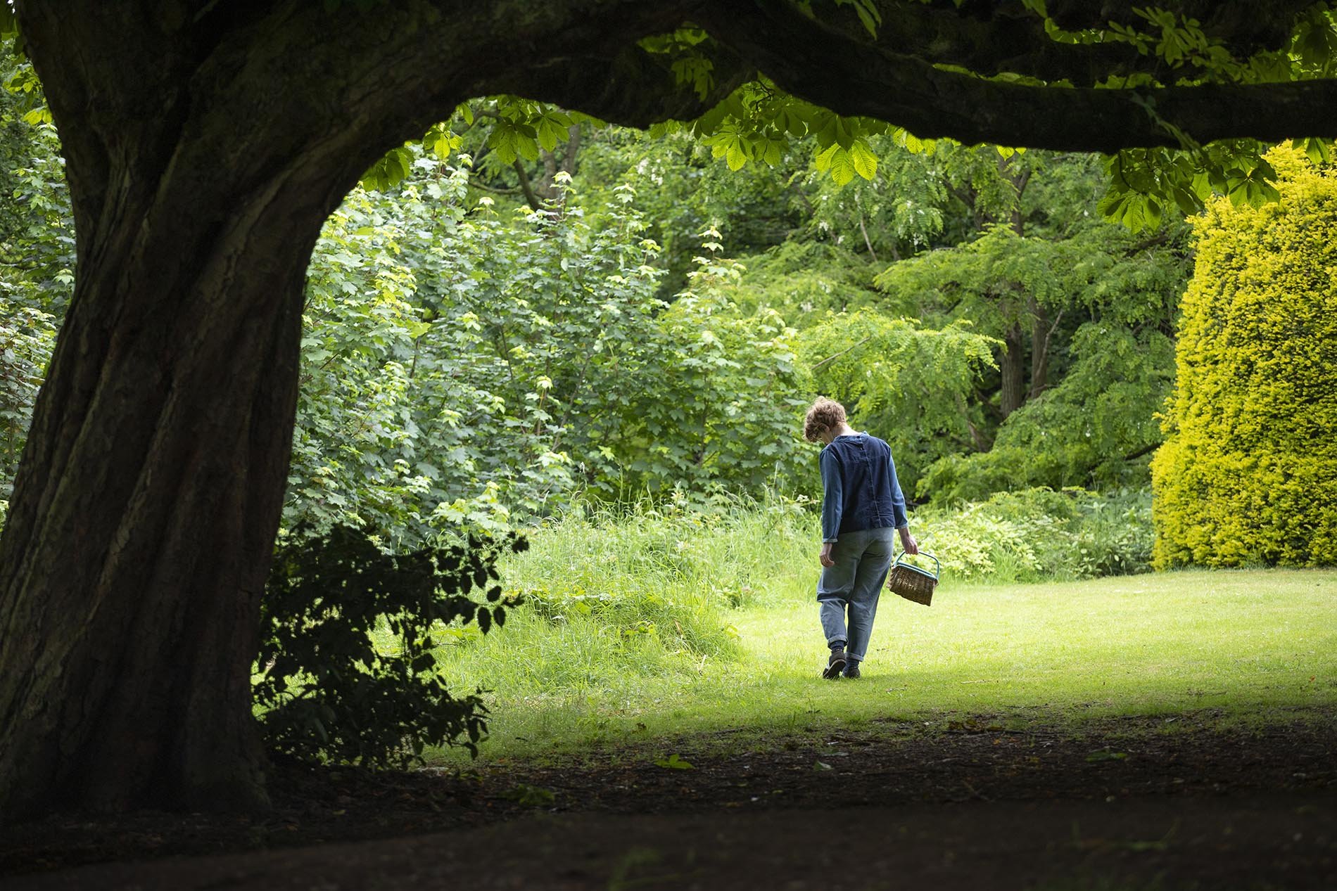 Gardening journalist Alys Fowler foraging in her local park.