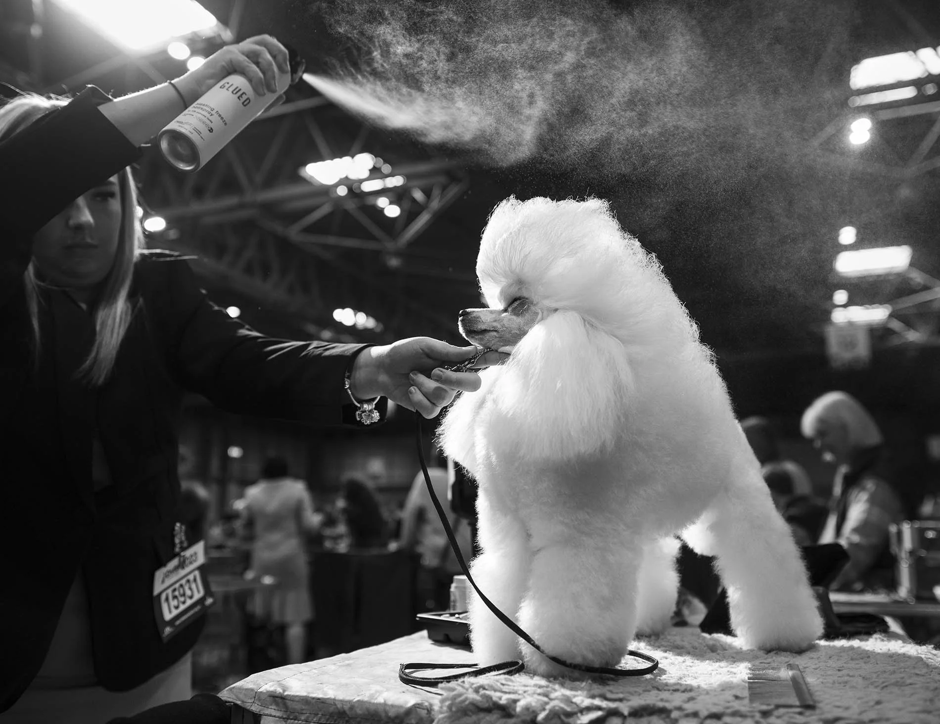  Crufts, the largest dog show in the world, takes place every March in Birmingham, UK. 