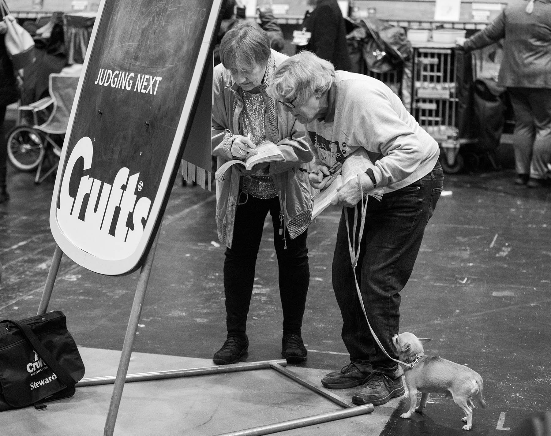  Crufts, the largest dog show in the world, takes place every March in Birmingham, UK. 