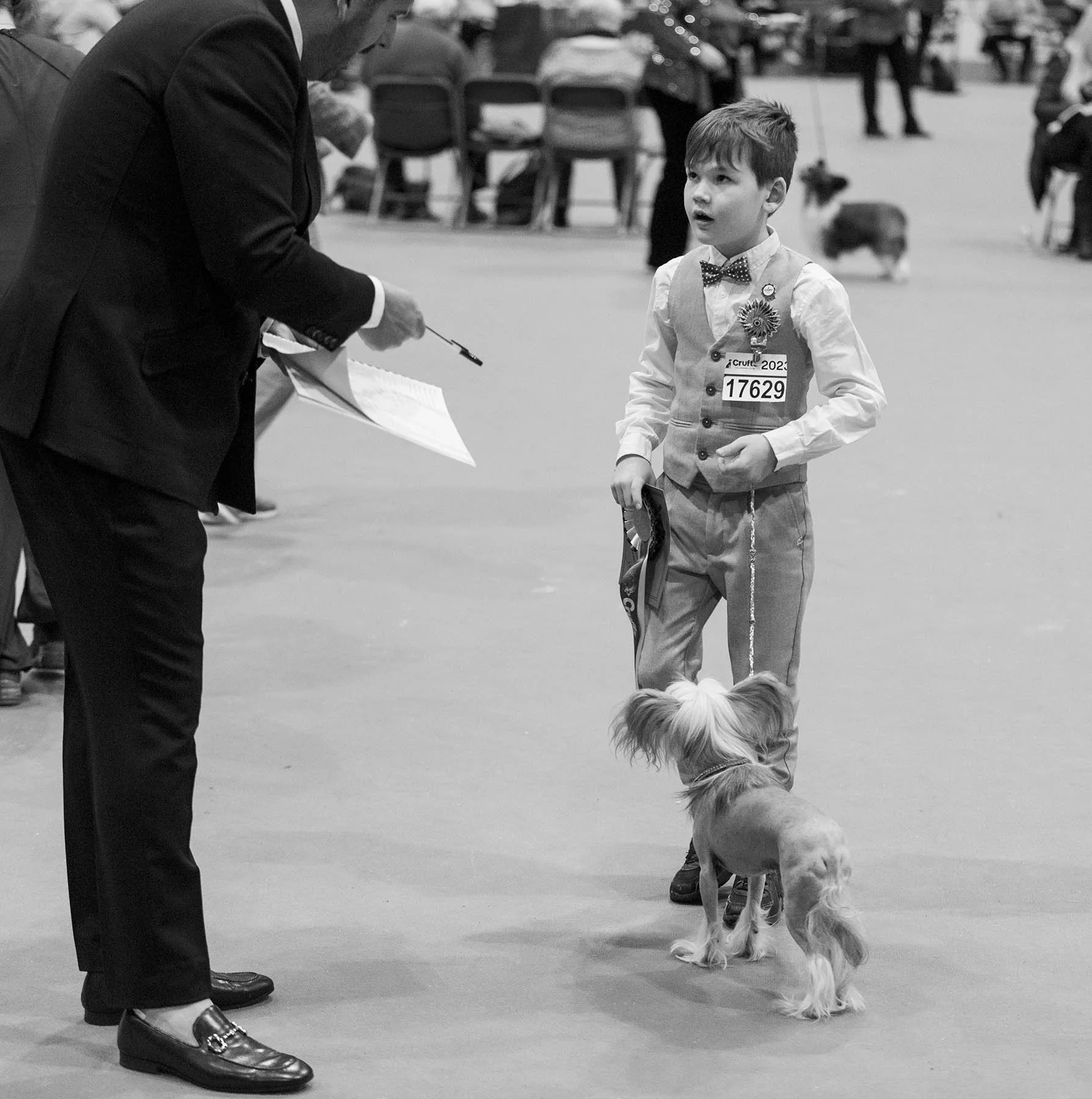  Crufts, the largest dog show in the world, takes place every March in Birmingham, UK. 
