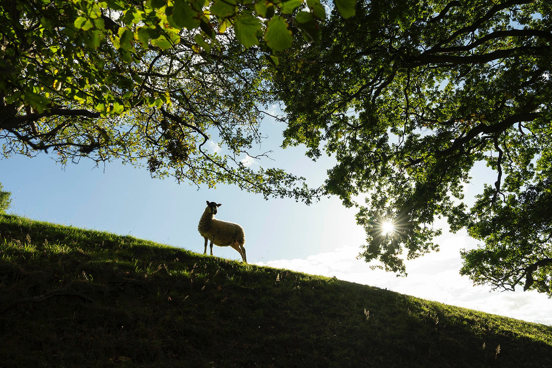  Cradley, Herefordshire 