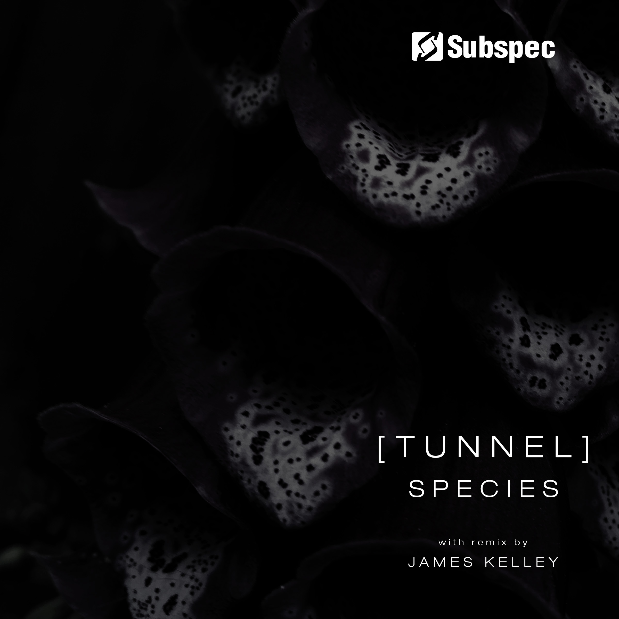 Tunnel 'Species' (SUB045)