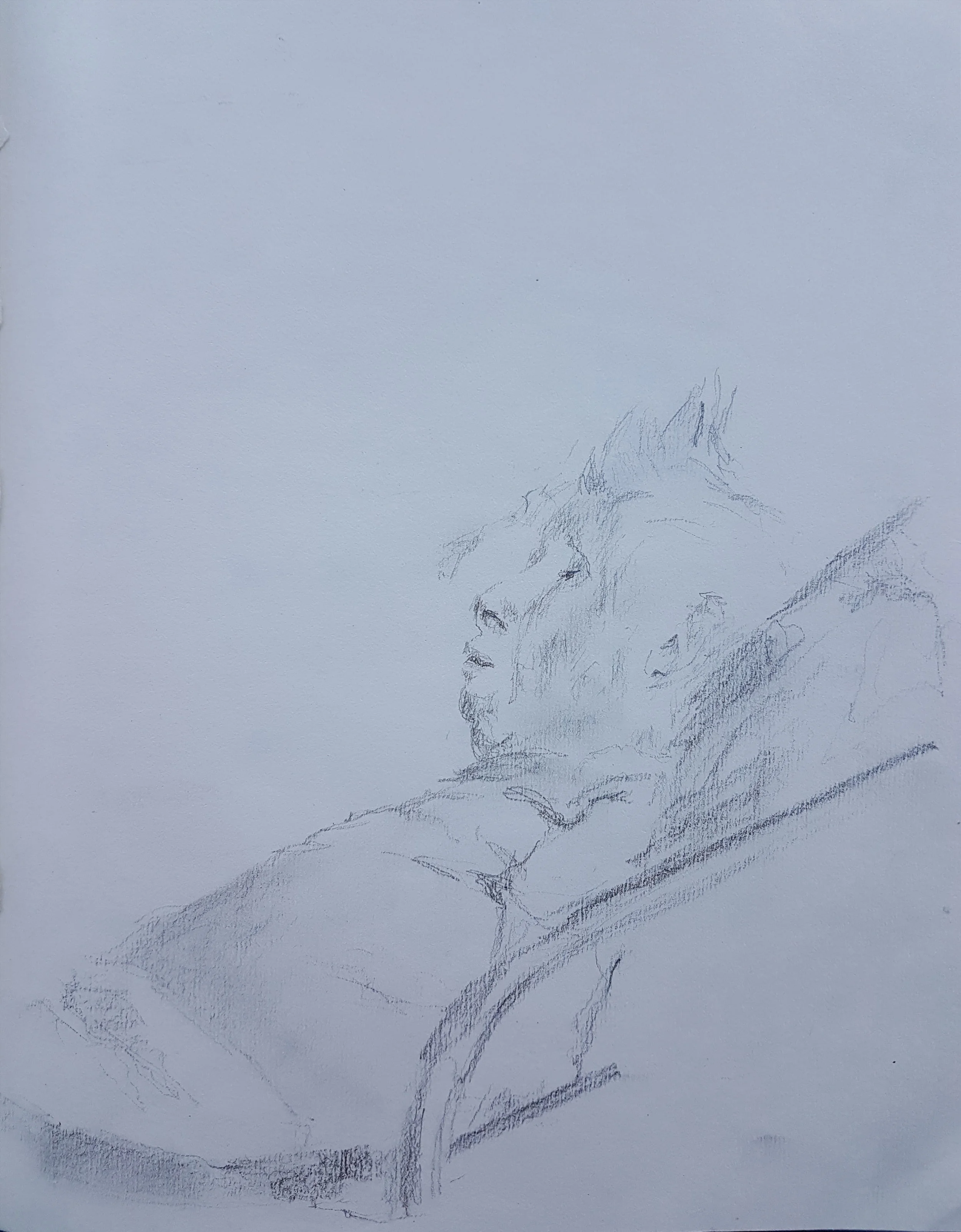 Grandmother, graphite on A4 paper, 2017
