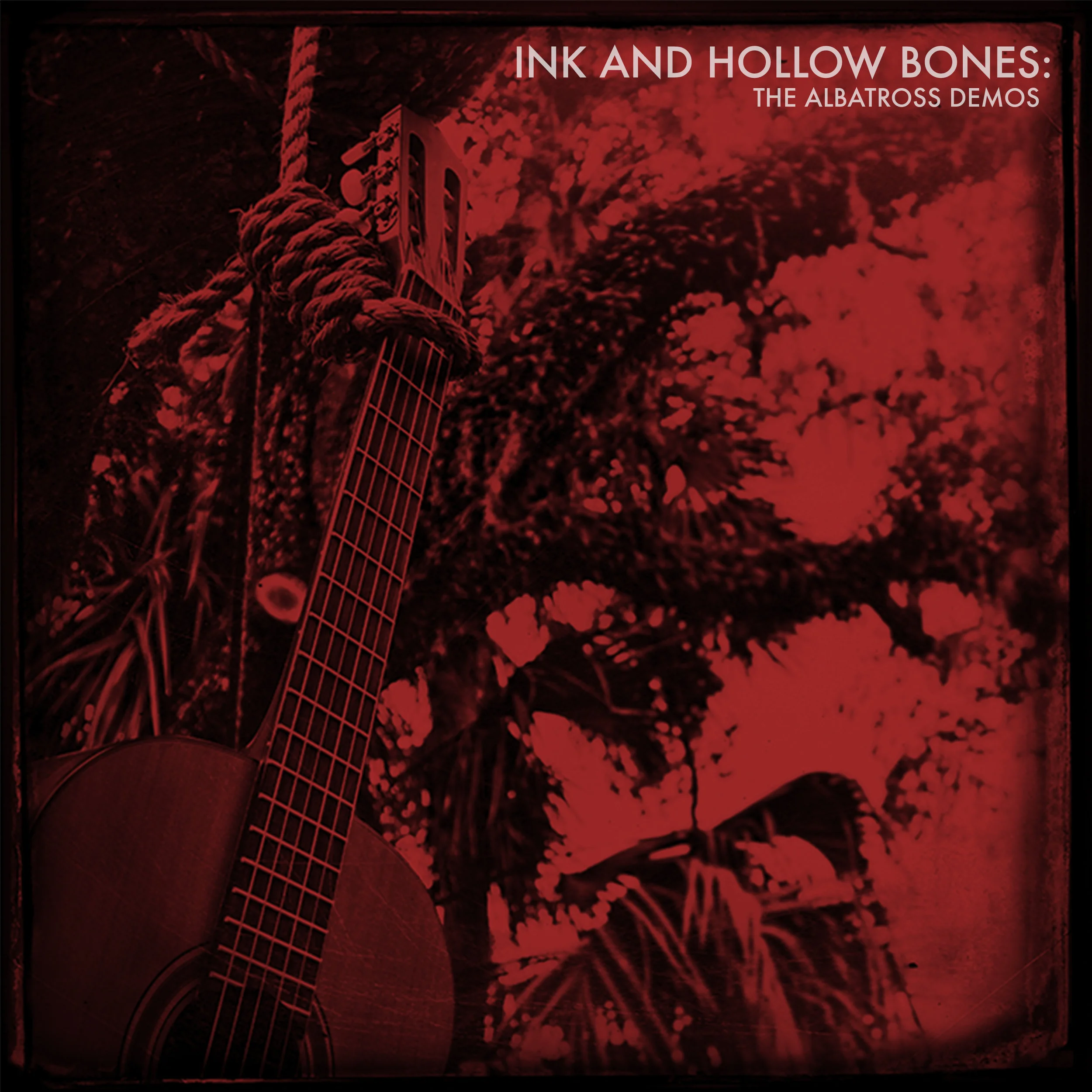 Marc M Cogman - Ink and Hollow Bones: the Albatross Demos