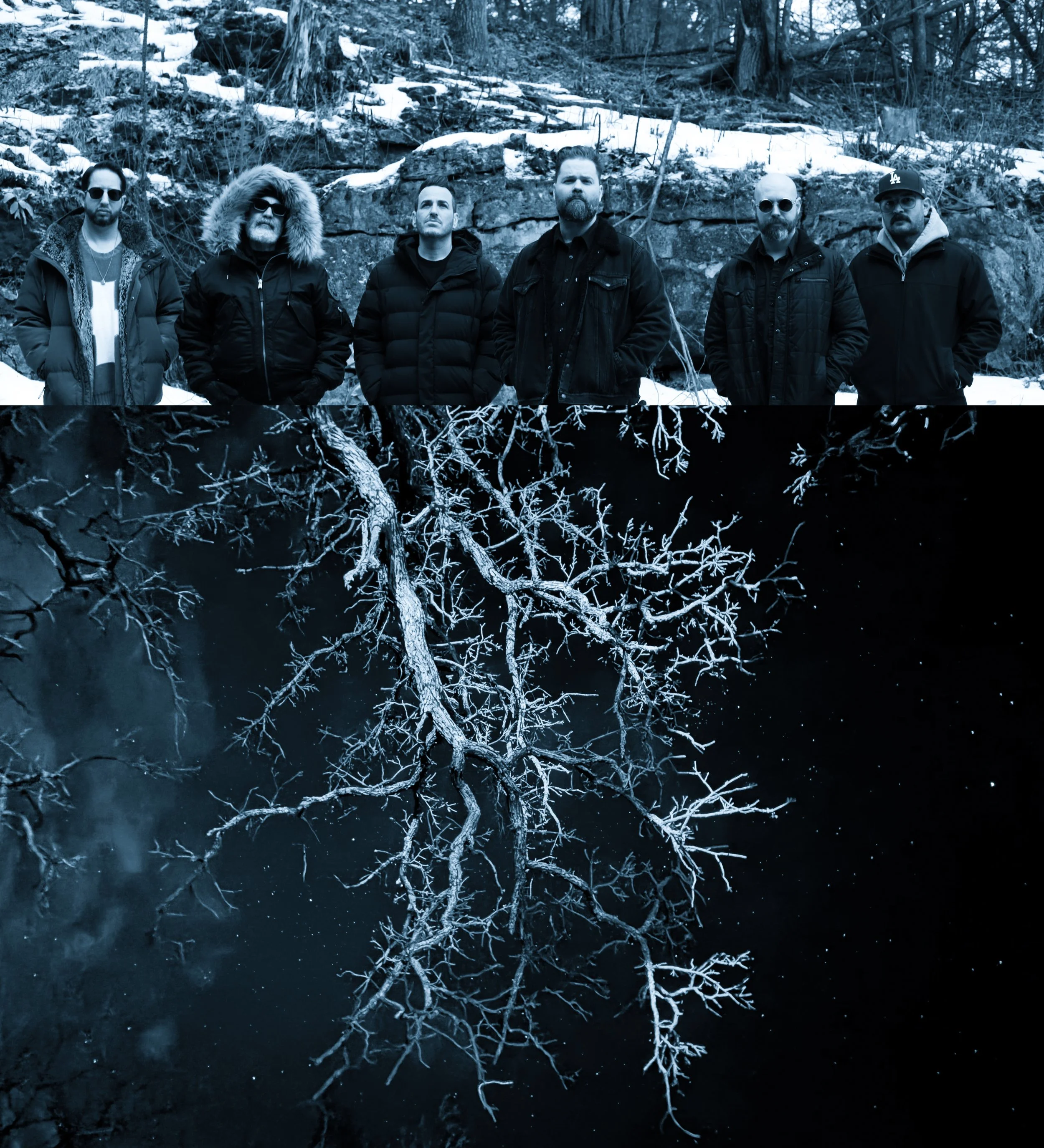 Blue Band Tree.jpg