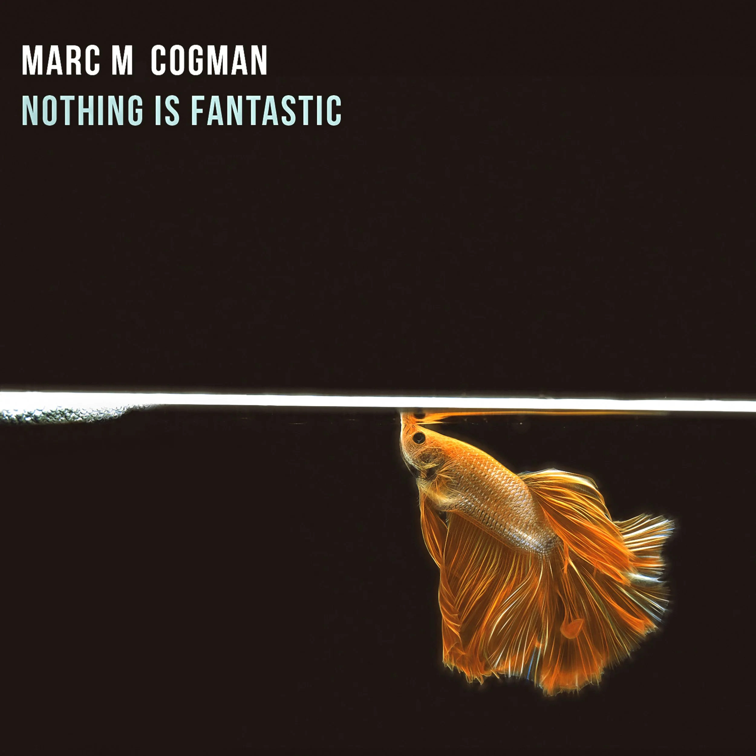 Nothing is Fantastic - 2026 Vinyl Remasters - Limited Edition 12" Vinyl