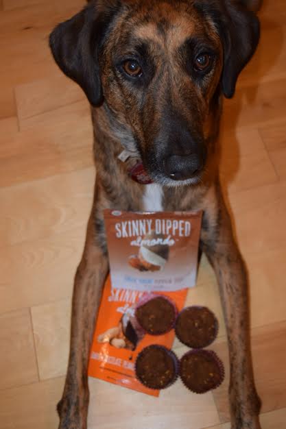 muffins 3.jpg