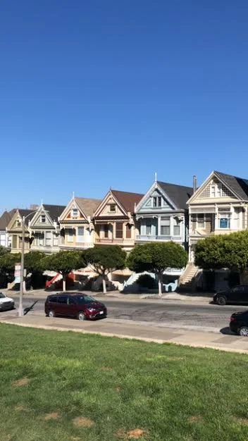 Painted Ladies