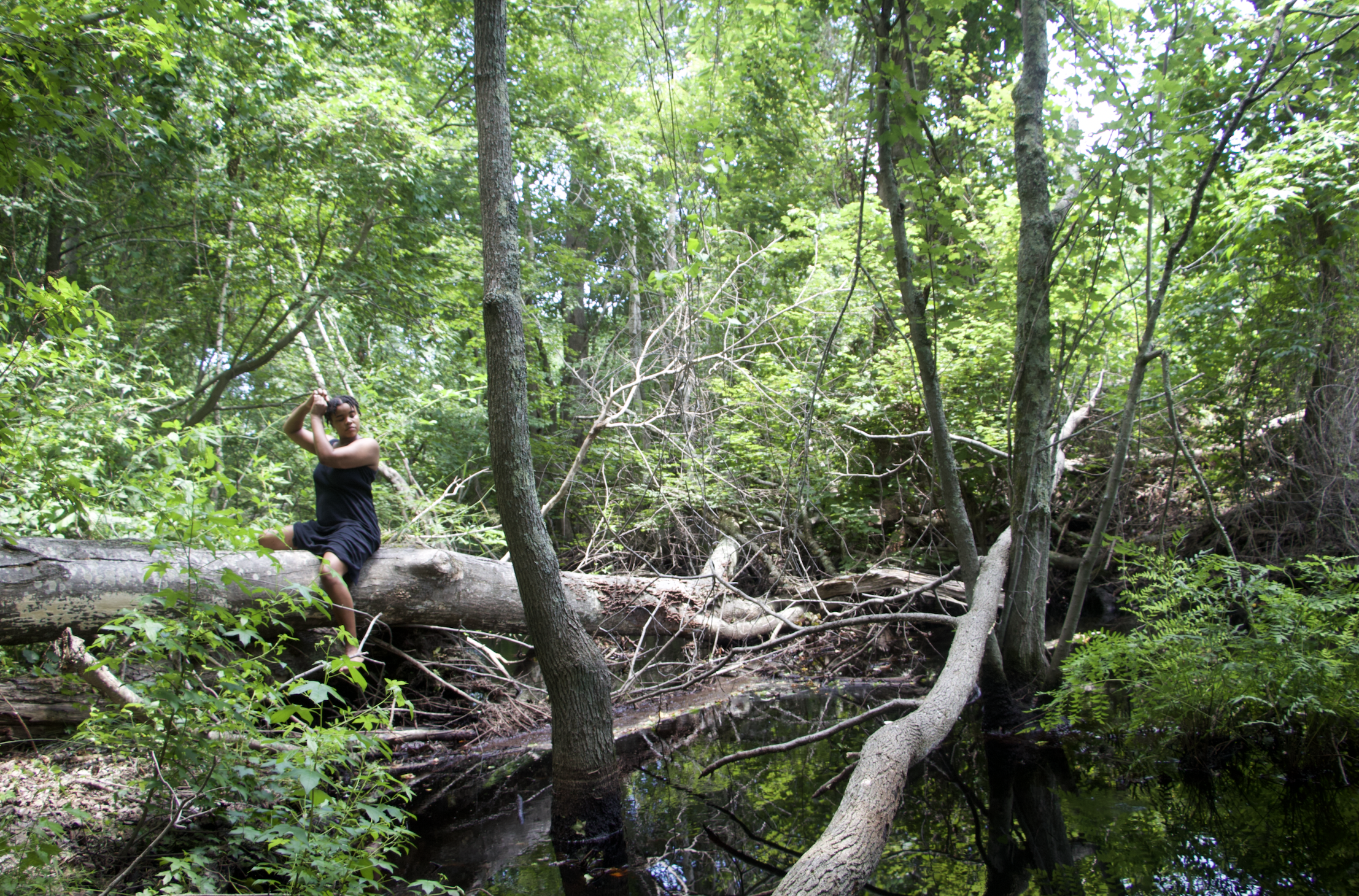 Cover Image, Video Still from 'Two Strand Twist Take Down'