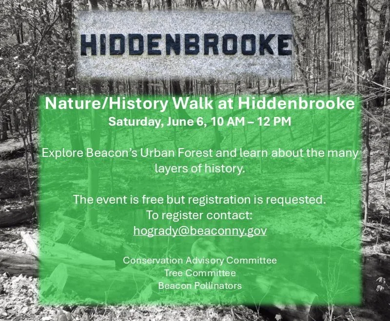 Draft image for HB Walkv1_05.04.jpg