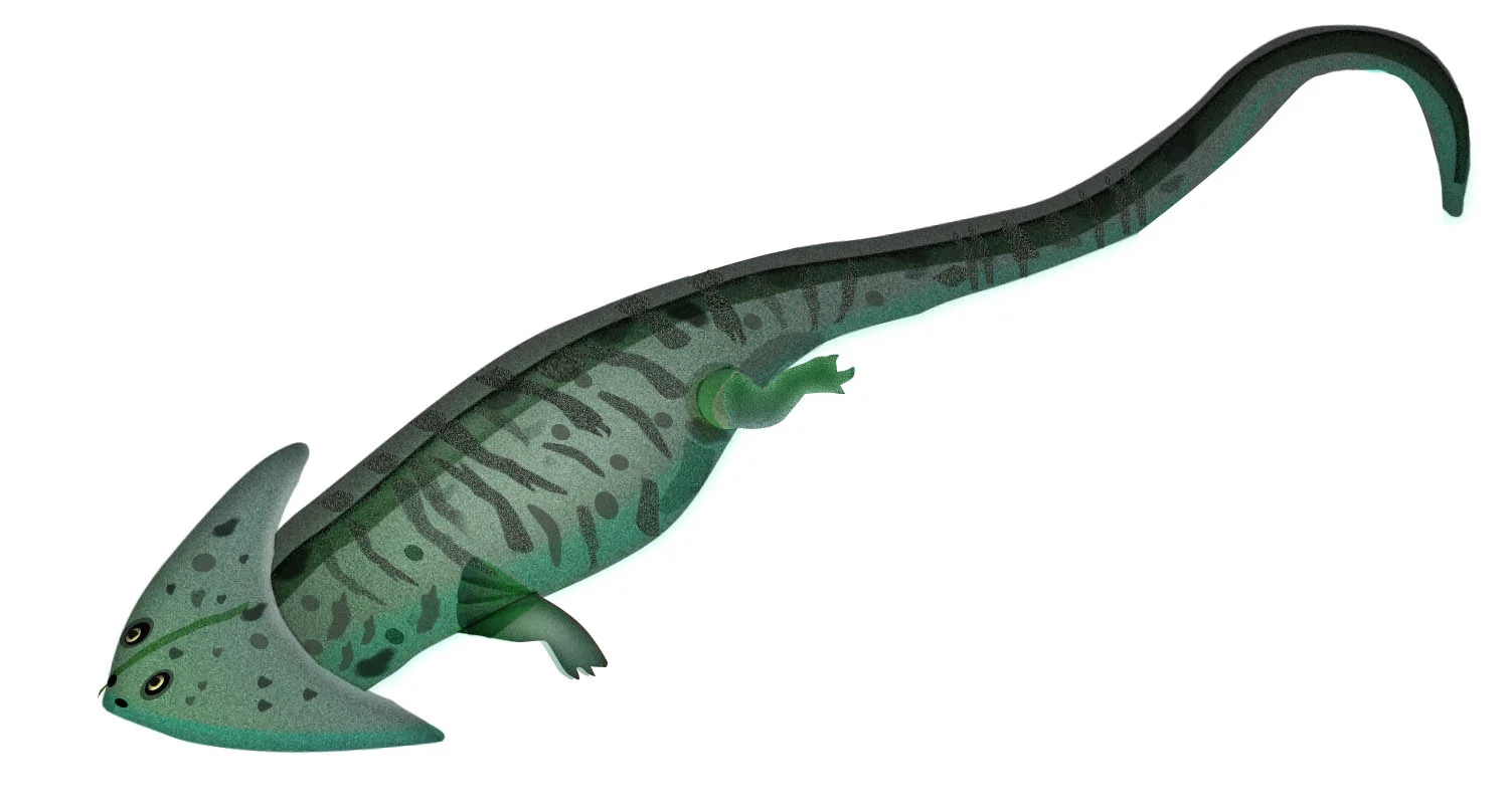diplocaulus.jpg