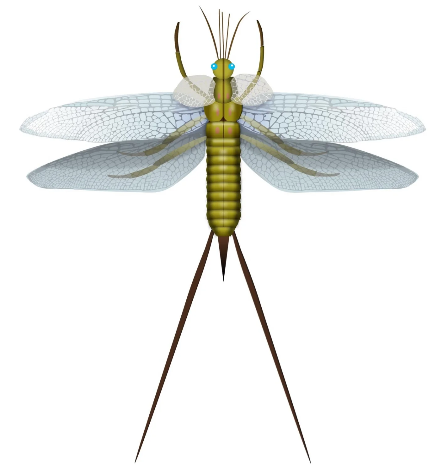 evolution3.jpg