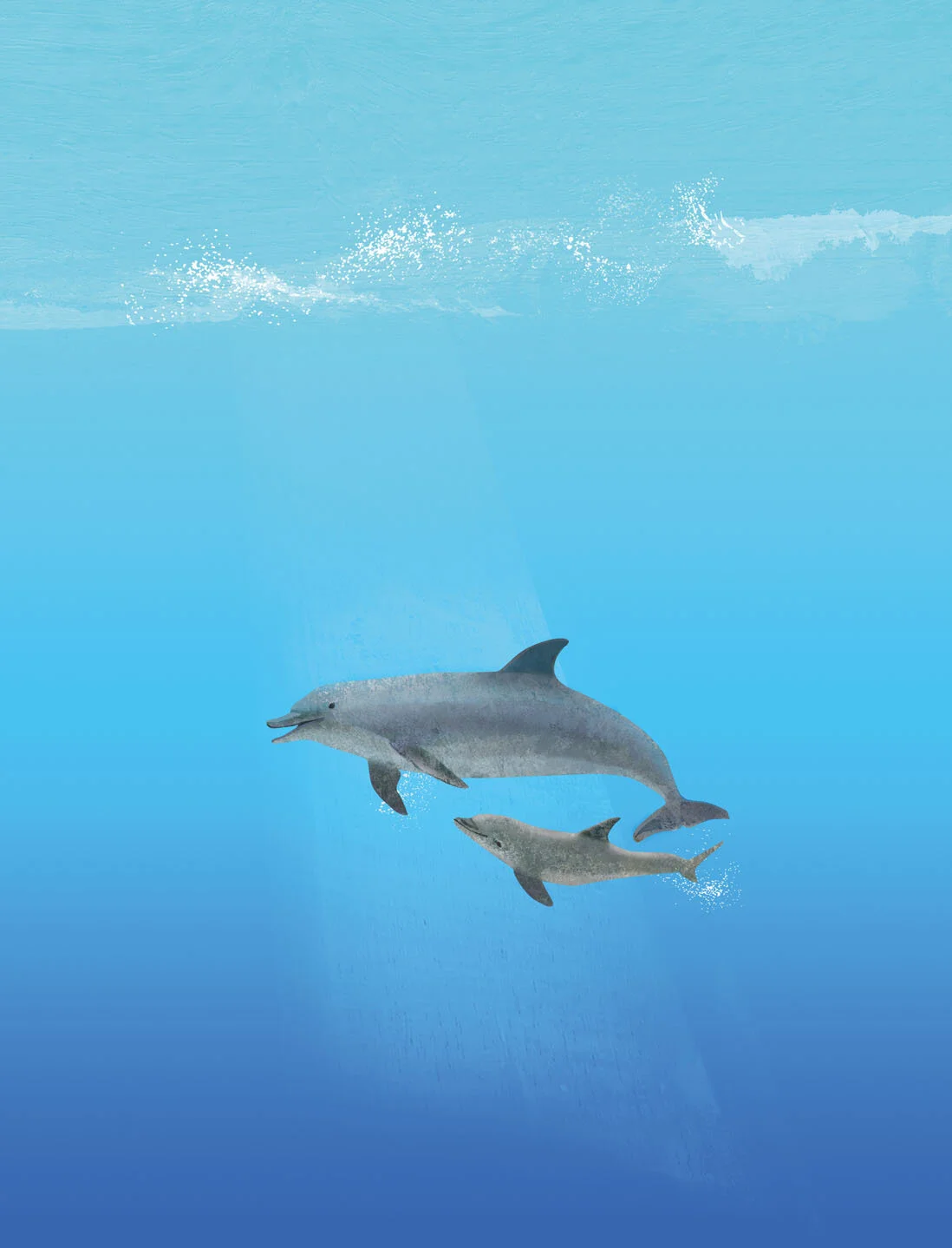 dolphins.jpg