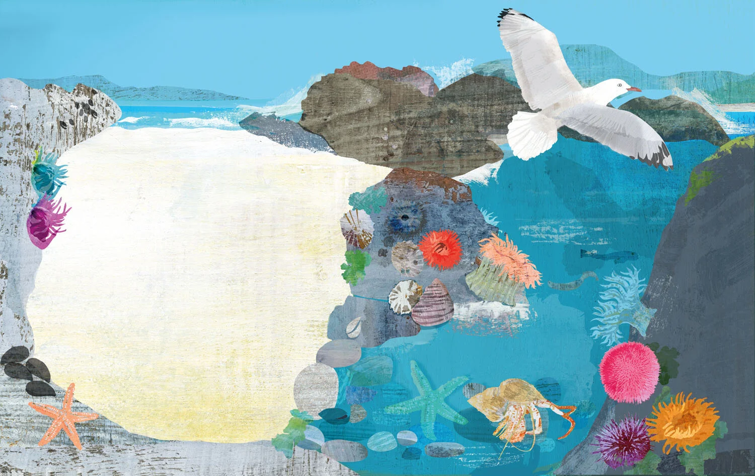 rockpool copy.jpg