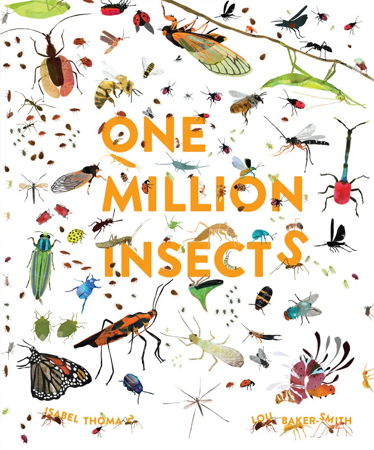 Cover One Million Insects.jpg