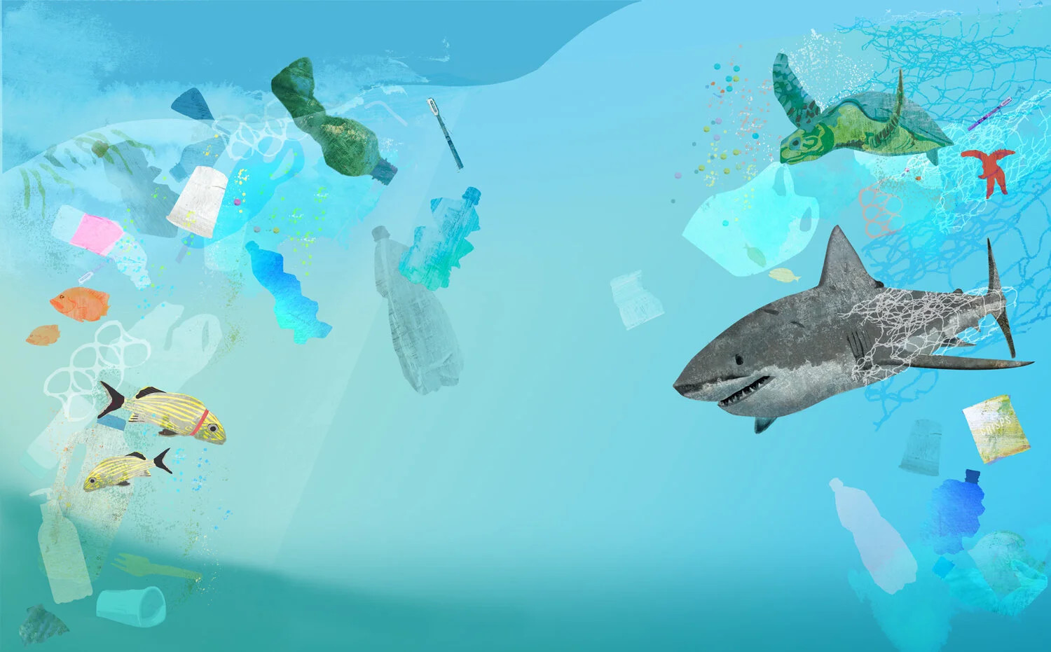 The oceans.jpg