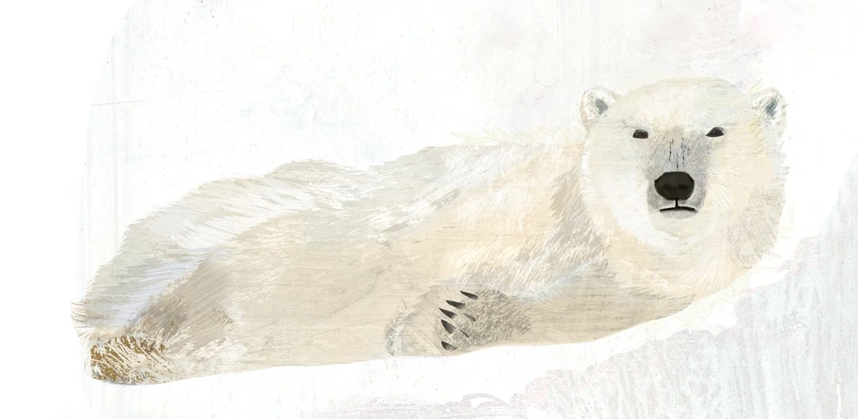 Polar face.jpg