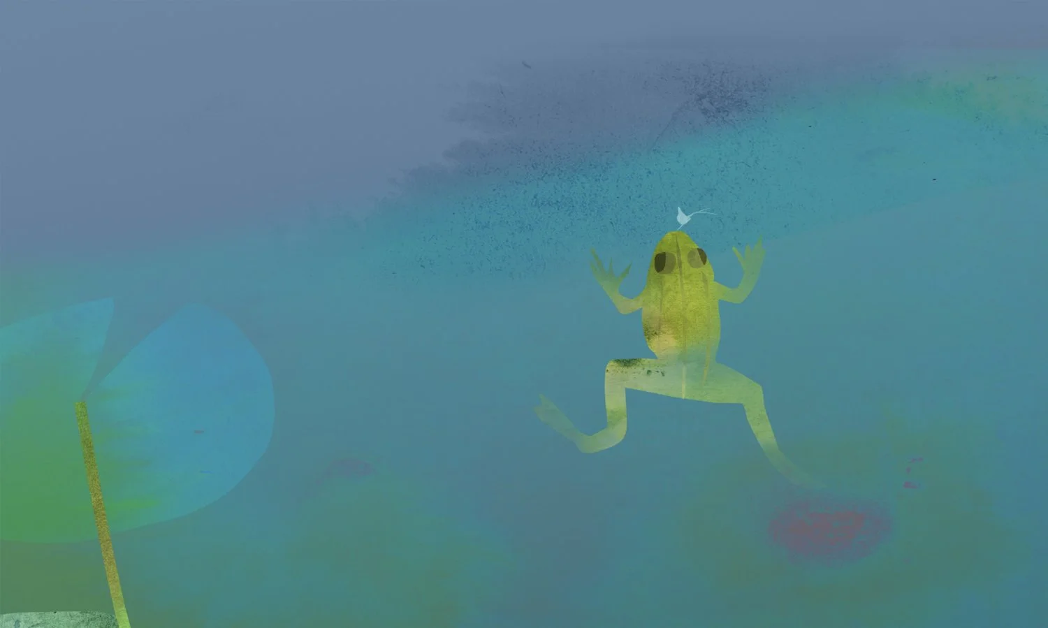 Frog 2 website.jpg