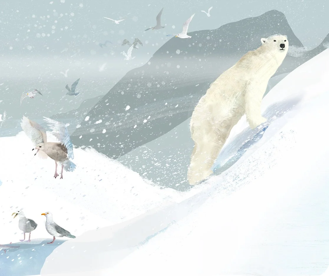 Polar bear.jpg