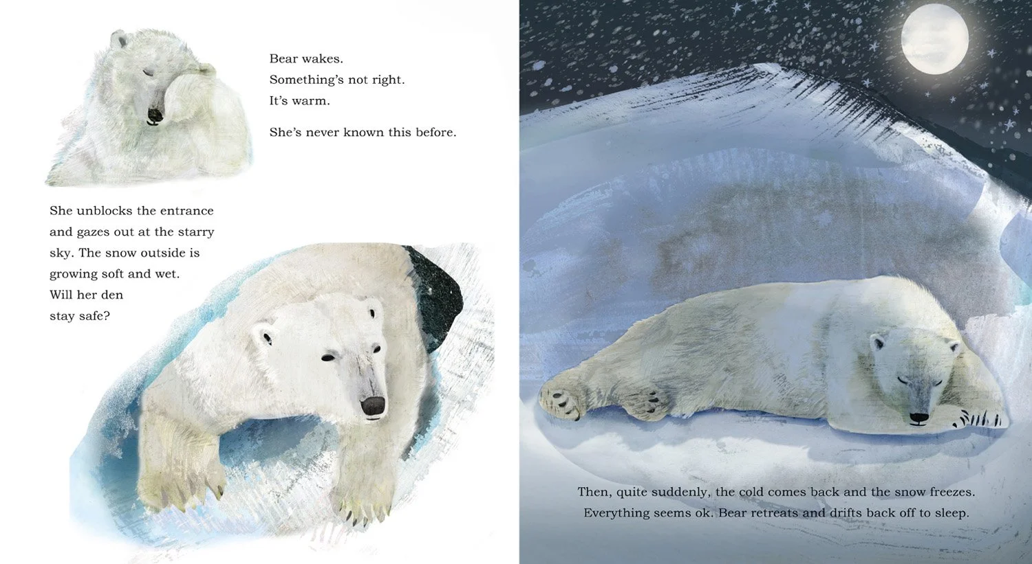 Polar bear sleep.jpg