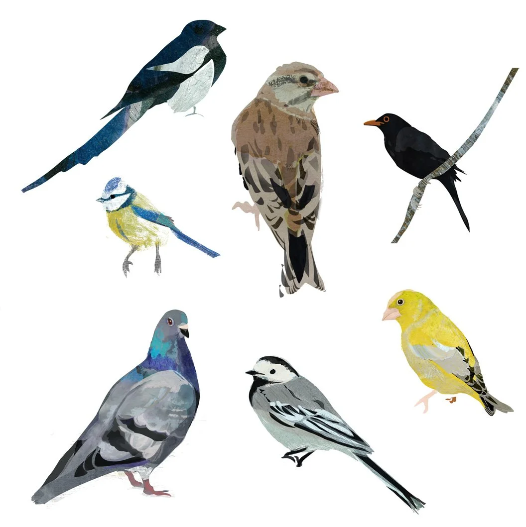 Birds.jpg
