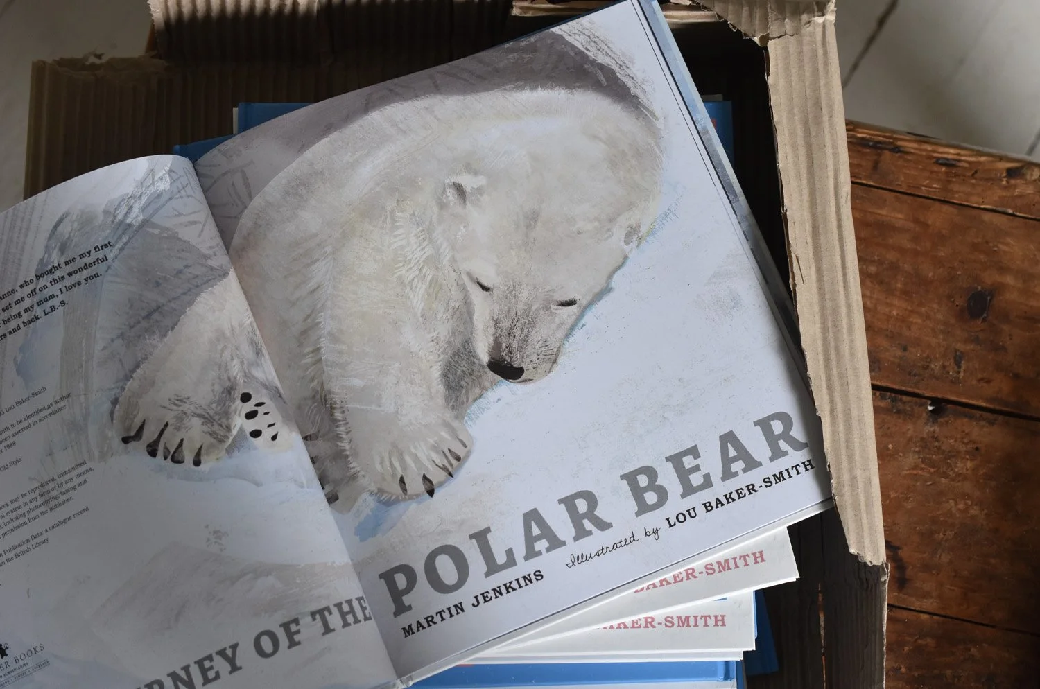 Bird magazine copy.jpg