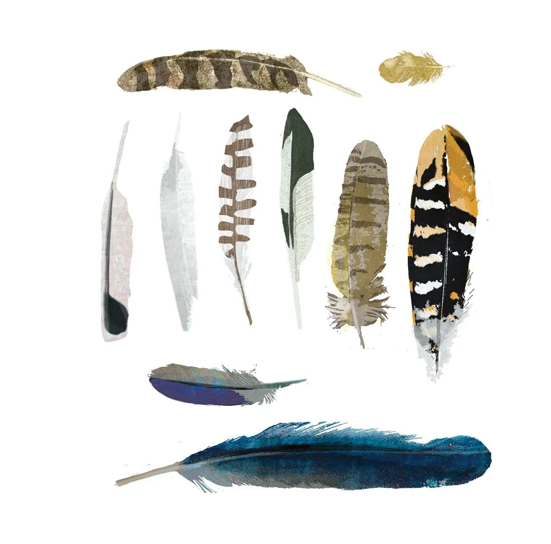feathers.jpg