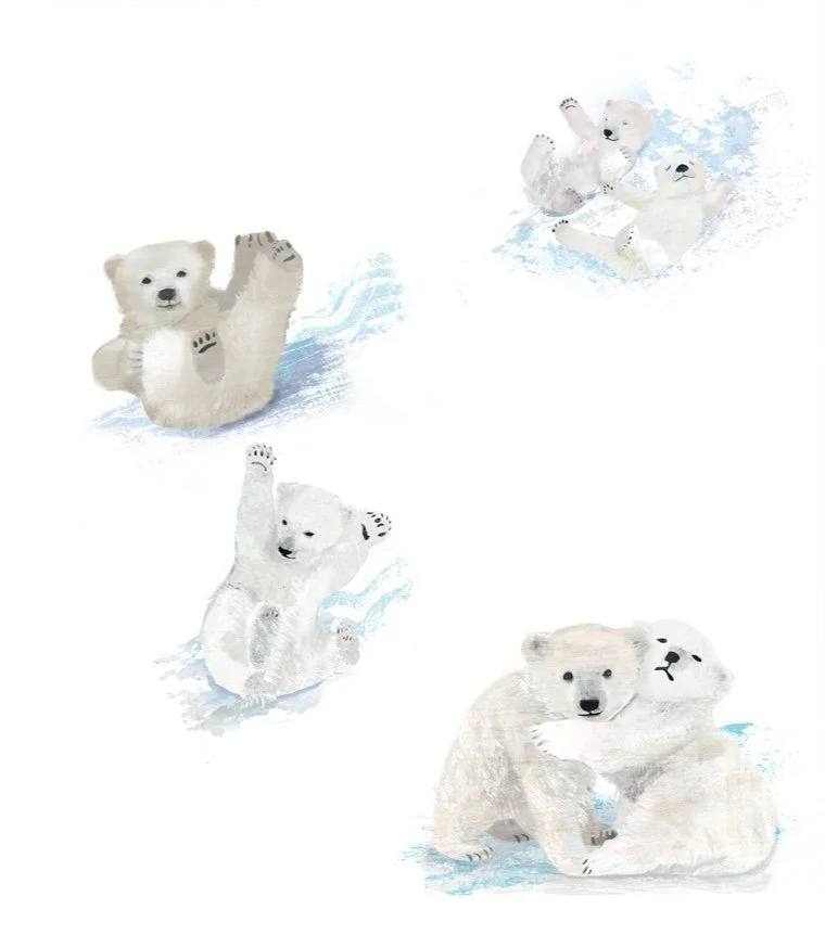 Baby+bears.jpg