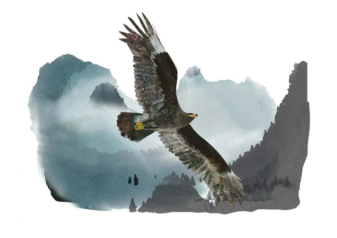 Bird.jpg