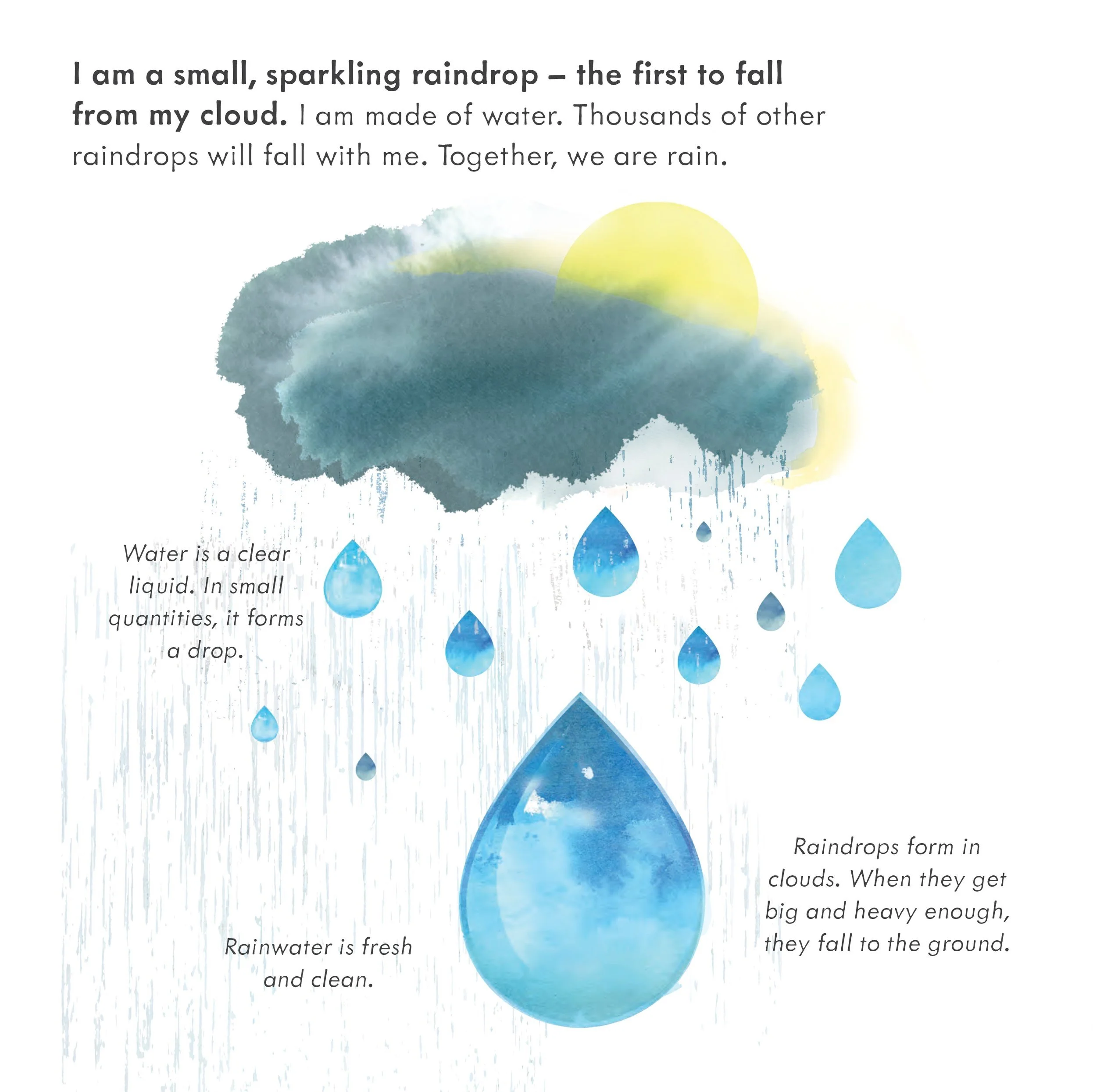 SSTB_Raindrop_Final-2.jpg