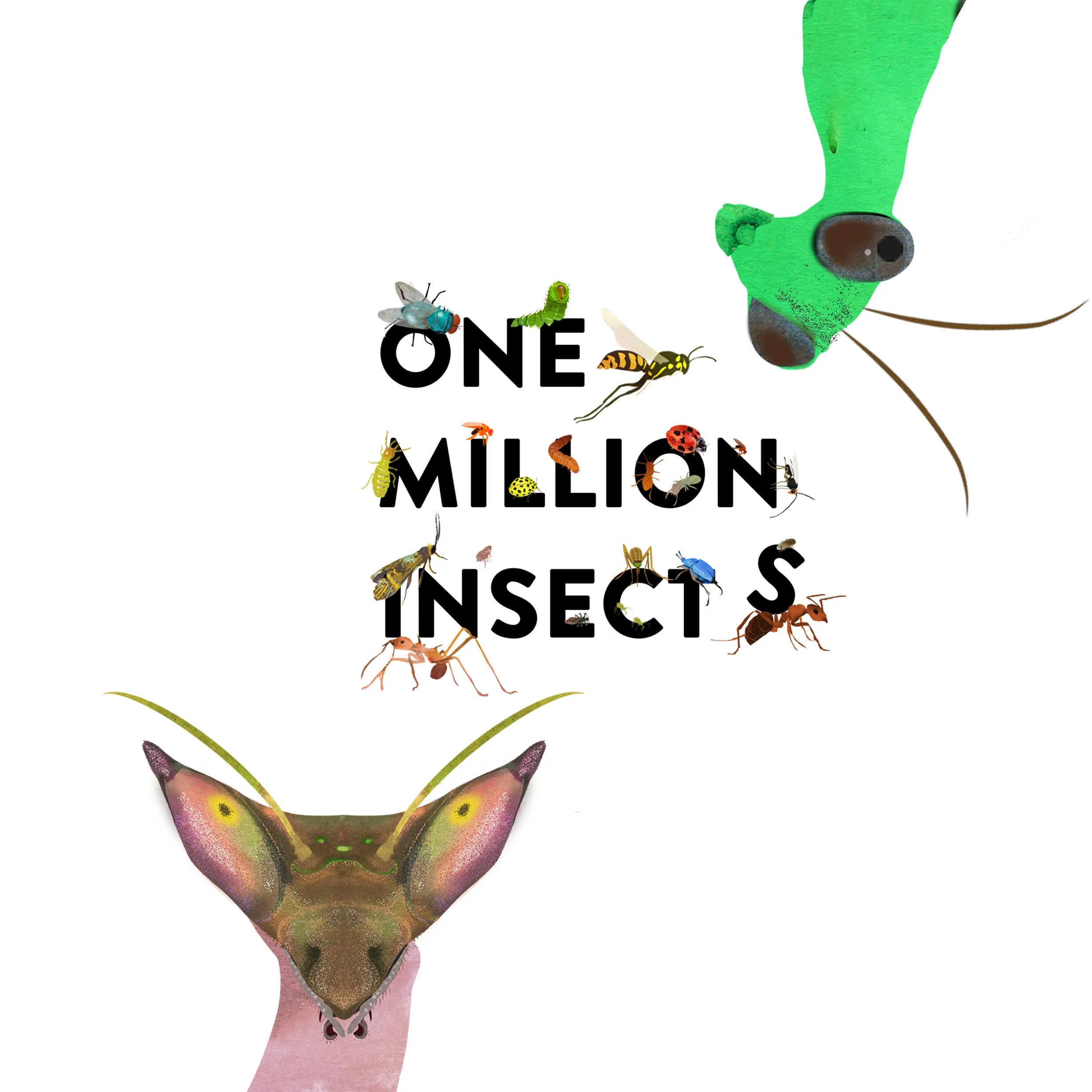 Insects Instagram 2 .jpg