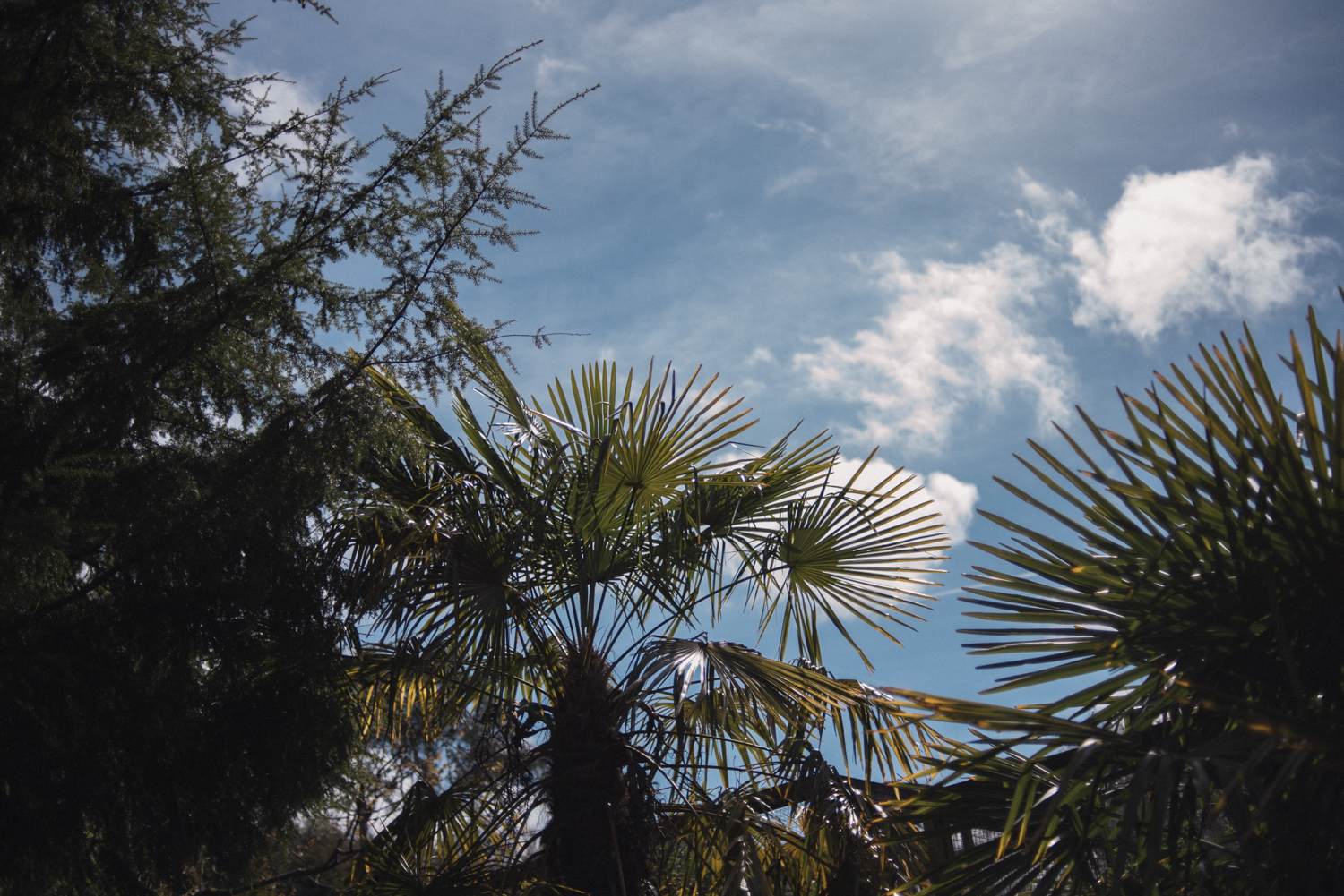 Sunshine Coast Family Photographer