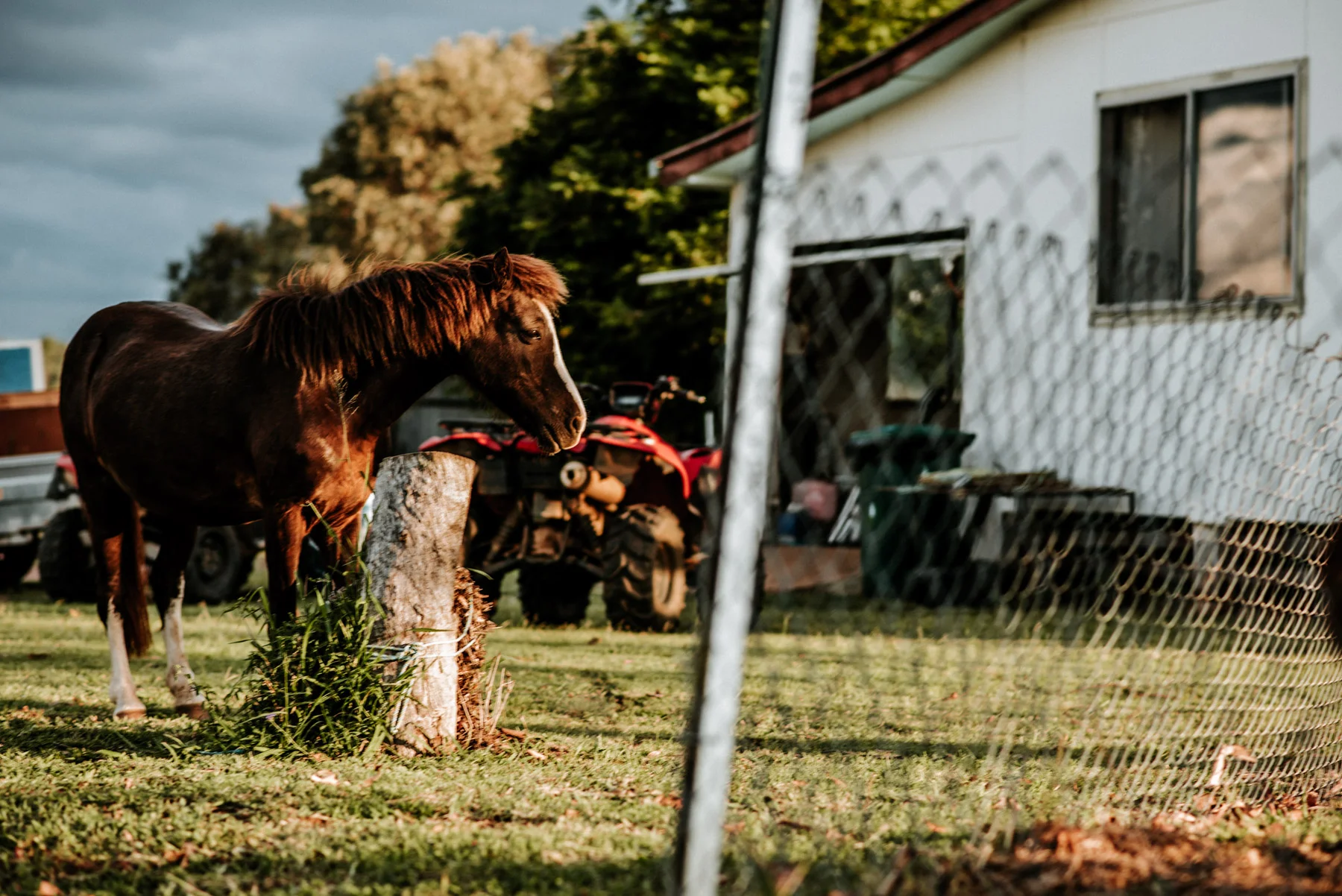 country_queensland_photography_scotts-83.jpg