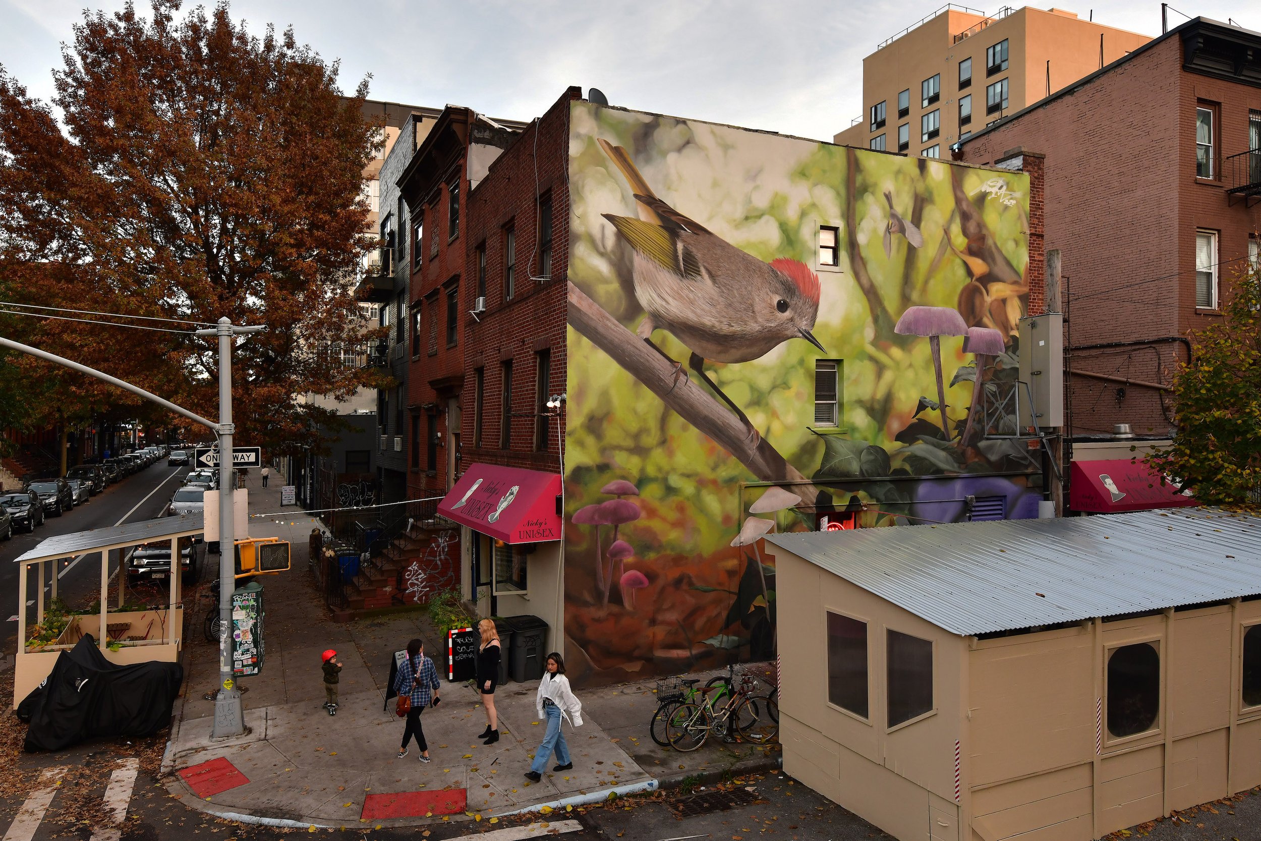 Brooklyn:Williamsburg_for_Audubon_society.jpg