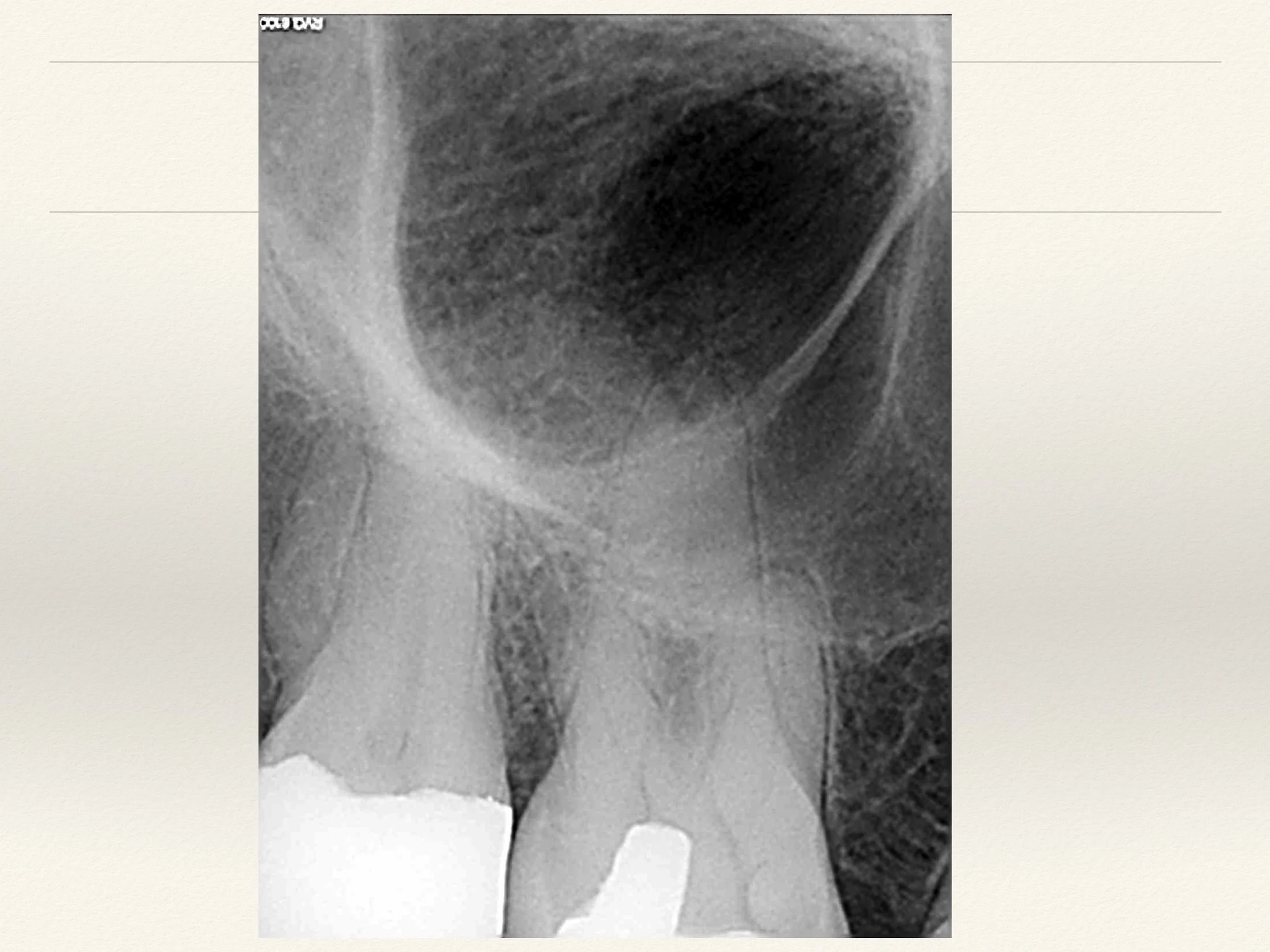 Slide04.jpg