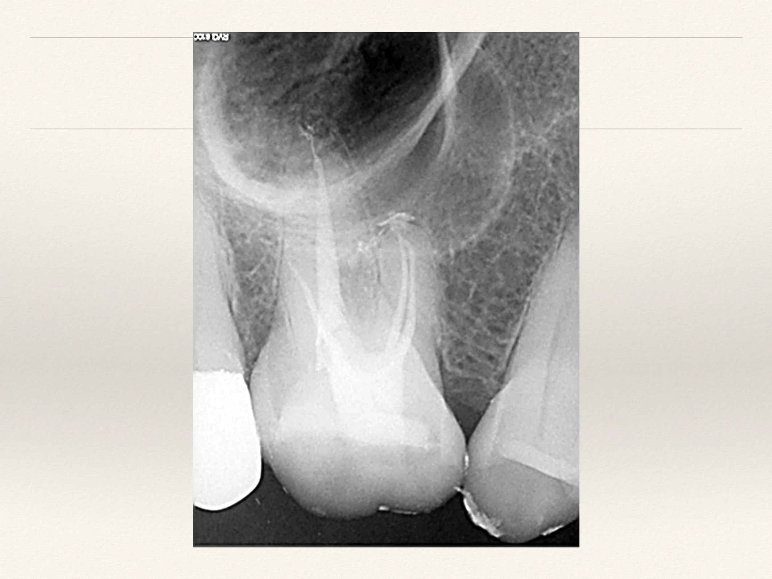Slide05.jpg